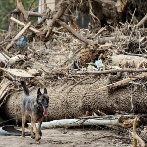 FEMA investigating alleged threats against personnel amid hurricane recovery efforts