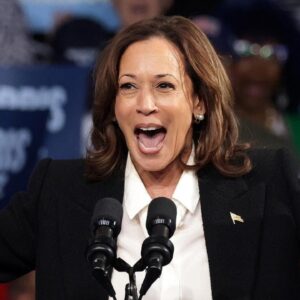 Vice President Kamala Harris agrees to Fox News interview