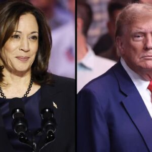 11/4: The Daily Report