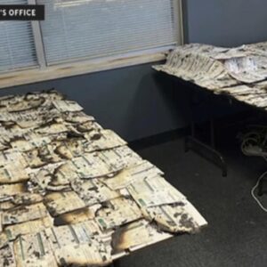 Authorities warn ballot box arson suspect could strike again