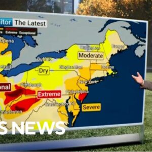 Details on Tropical Storm Sara's path, impact