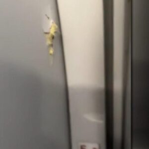 FAA bans U.S.-Haiti flights over gang violence, gunfire hitting planes