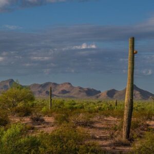 How climate change affects Latino communities and their votes