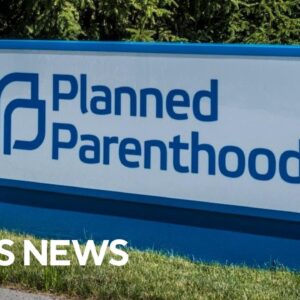Musk, Ramaswamy take aim at Planned Parenthood