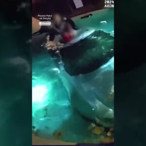 Phoenix police rescue man trapped inside submerged car #shorts