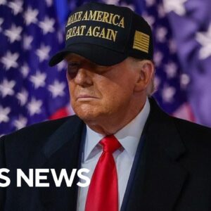 What caused Georgia to flip back for Trump