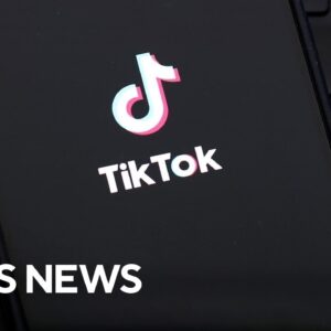 Appeals court upholds law that could ban TikTok in U.S.