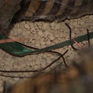 Inside a Syrian facility allegedly used to make illegal drugs