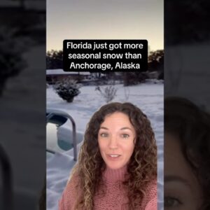 Florida just got more seasonal snow than Anchorage, Alaska #shorts