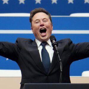 How could Elon Musk influence Donald Trump?