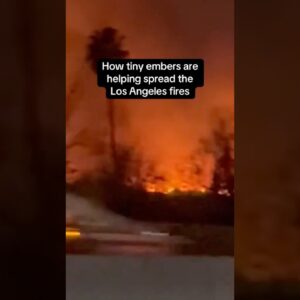 How tiny embers are helping spread the Los Angeles wildfires #shorts