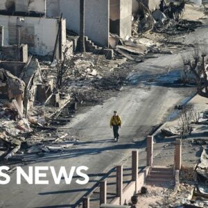 Around 50 arrests made in California wildfire zones as looters try to take advantage of blazes