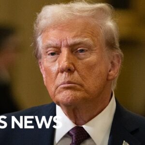 Options Trump could have to potentially stop the TikTok ban