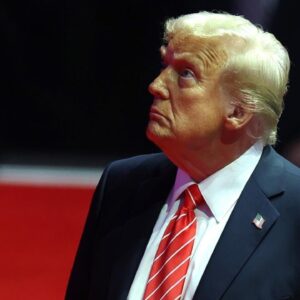 Political strategists on Trump's day 1 promises