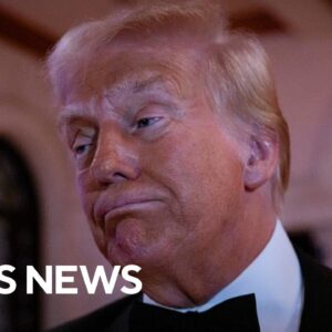 What grounds does Trump have to request a TikTok ban delay from the Supreme Court?