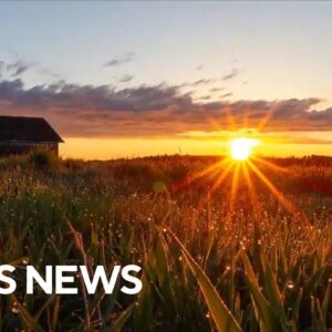 The Sunrise Guy | The Uplift