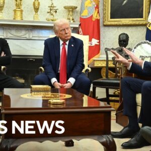 Oval Office meeting between Trump, Vance and Zelenskyy descends into chaos