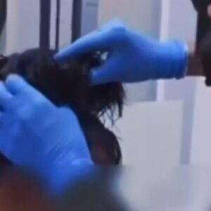 Man caught hiding bags of cocaine under his wig at Colombia airport