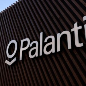 Palantir's Room For Growth