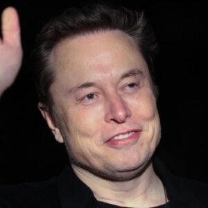 How does the White House characterize Elon Musk's role in DOGE, government?
