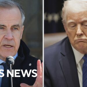 Trump speaks with Canada's Carney, stock market sell-off deepens and more | America Decides
