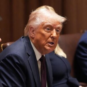 Trump talks spending cuts, immigration, Greenland and more in Cabinet meeting