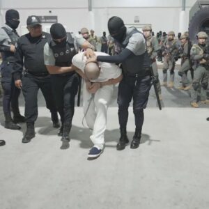 3/19: The Daily Report