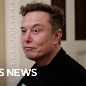 Digging into Elon Musk's relationship with California