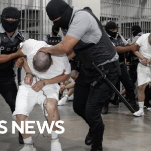 DOJ, Homan argue El Salvador deportation flights complied with the law