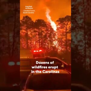 Dozens of wildfires erupt in the Carolinas #shorts