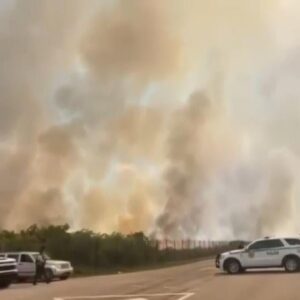 Firefighters working to contain sprawling Miami-Dade brush fire