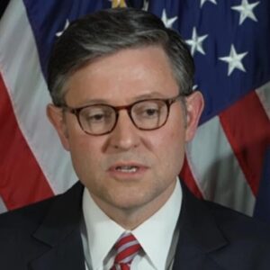 Johnson says GOP lawmakers shouldn't hold in-person town halls