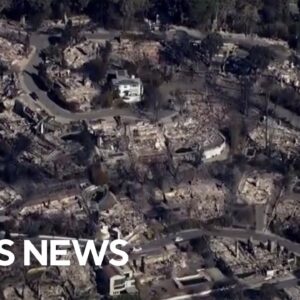 Exploring the connection between wildfires and climate change | ClimateWatch