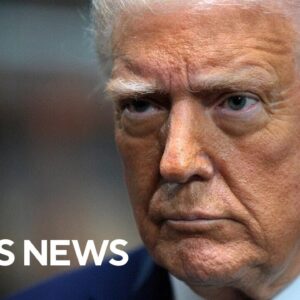 Trump to start process to dismantle Department of Education