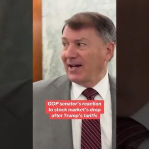 Republican Sen. Mike Rounds reacts to stock market’s performance after Trump tariff plan #shorts