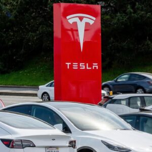 Tesla Faces ‘Unprecedented Brand Damage’