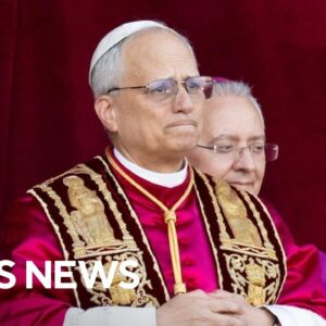 Pope Leo XIV's ideological positions and what his election means for the church