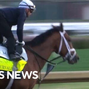 2025 Kentucky Derby horses to watch for