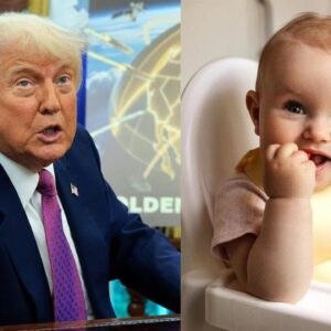 Budget bill includes $1,000 for newborns that would be deposited in "Trump Accounts"