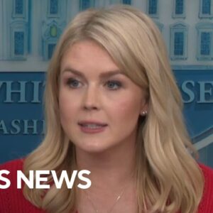 White House blames problems with "MAHA" report on "formatting issues"