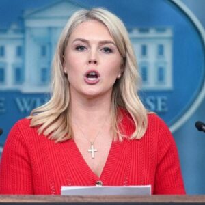 White House press secretary reacts to tariff ruling against Trump