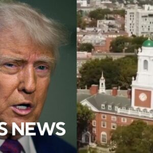 Why is Trump ending all federal contracts with Harvard?