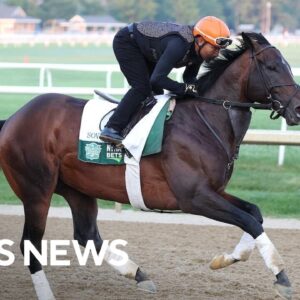 Belmont Stakes to host rematch of the top 3 Kentucky Derby finishers