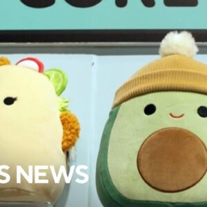 Take a look inside the "Squishmallows" headquarters