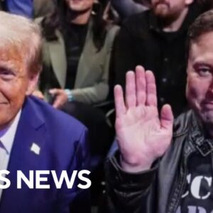 Trump tells reporters he has not thought about Elon Musk at all