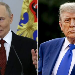 7/14: The Daily Report