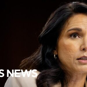 Tulsi Gabbard claims Obama administration "conspiracy" to subvert 2016 election