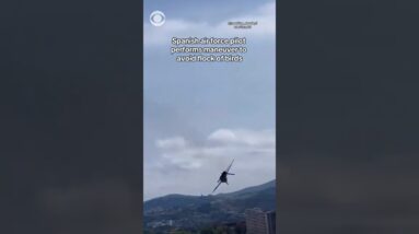 Spanish air force pilot performs maneuver to avoid flock of birds #shorts
