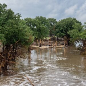Watch Live: Texas Gov. Greg Abbott gives update on flood recovery efforts