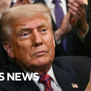 Trump sues The Wall Street Journal after Epstein story, GENIUS Act becomes law, more | The Takeout